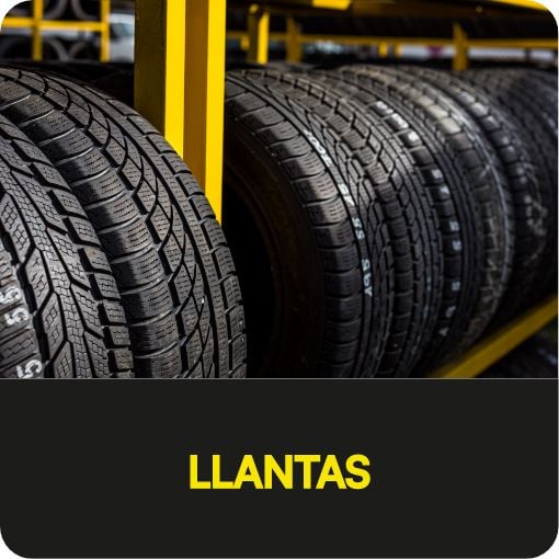 Contenido